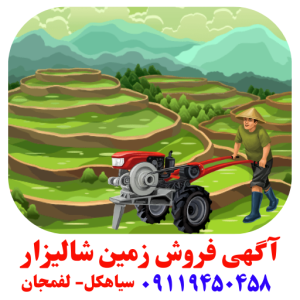 خریدزمین کشاورزی سیاهکل-لفمجان